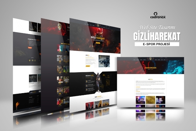 Gizliharekat E-Sports